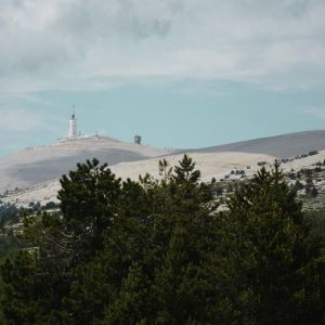 Fotografia 1 z 7