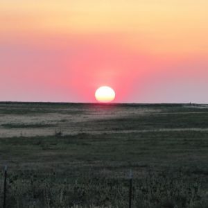 Fotografia 1 z 33