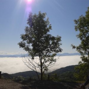 Fotografia 1 z 21