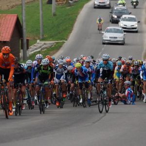 Fotografia 1 z 96