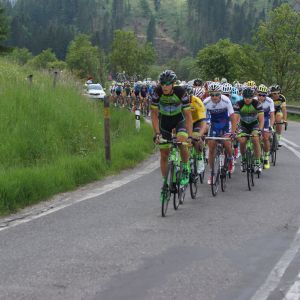 Fotografia 1 z 24