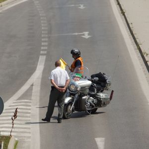Fotografia 1 z 12