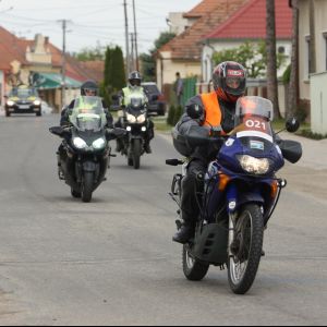 Fotografia 1 z 12