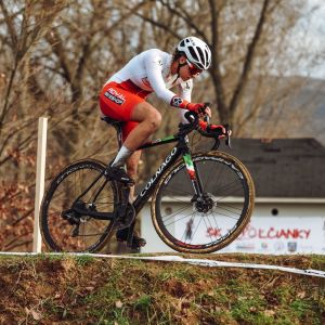 Fotografia 1 z 84