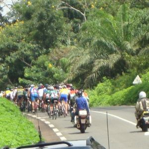 Fotografia 1 z 12