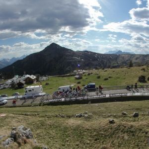 Fotografia 1 z 12