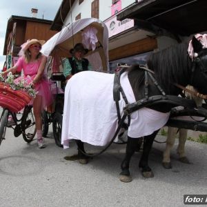 Fotografia 1 z 12
