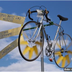 Fotografia 1 z 12