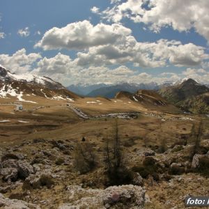 Fotografia 1 z 24