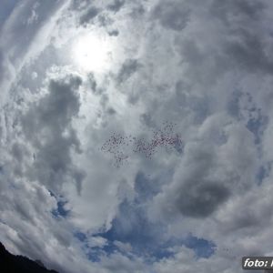 Fotografia 1 z 24