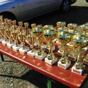 Fotografia 1 z 11