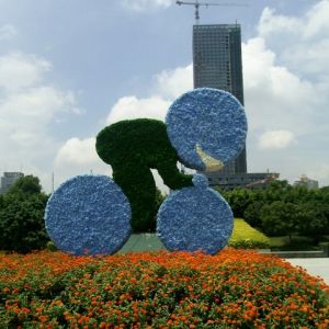 Fotografia 1 z 8