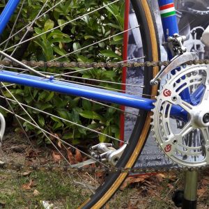 Fotografia 1 z 12