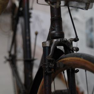 Fotografia 1 z 19