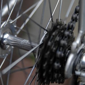 Fotografia 1 z 32