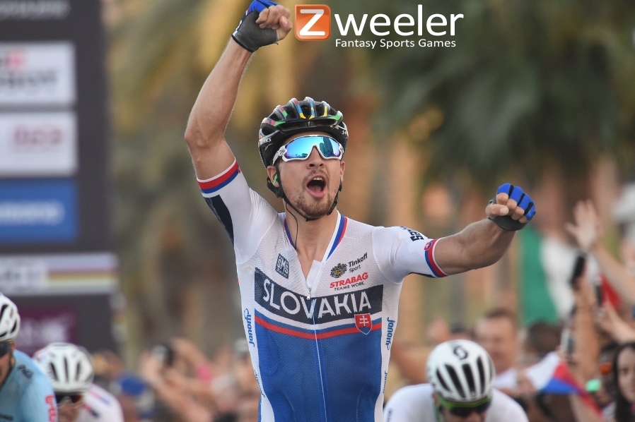 zweeler 2017 ms