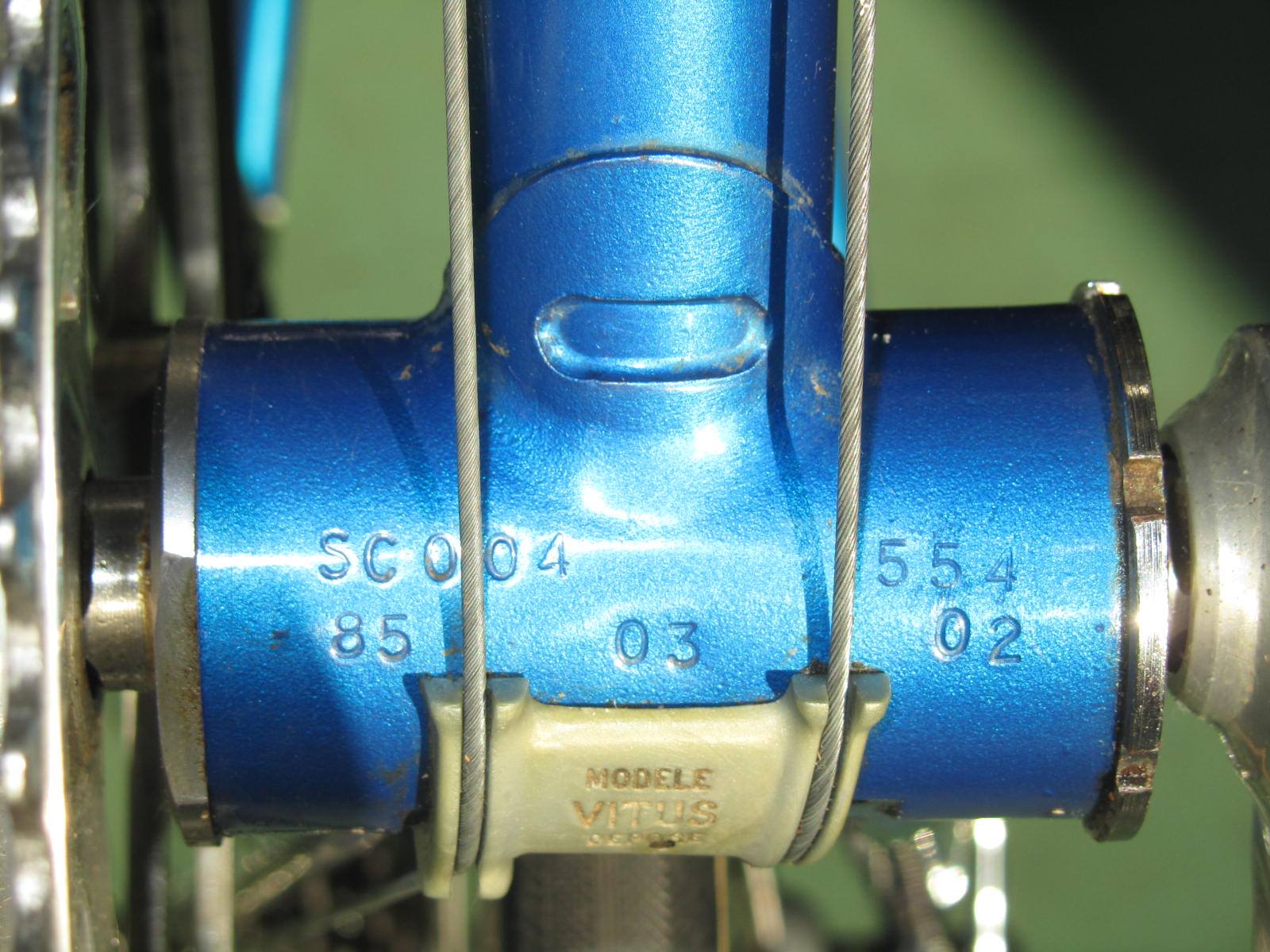 de rosa 1957 49133641613 o