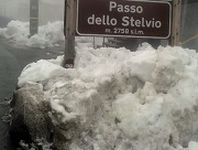 stelvio-zasnezene