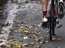 lombardia-padajuce-listy