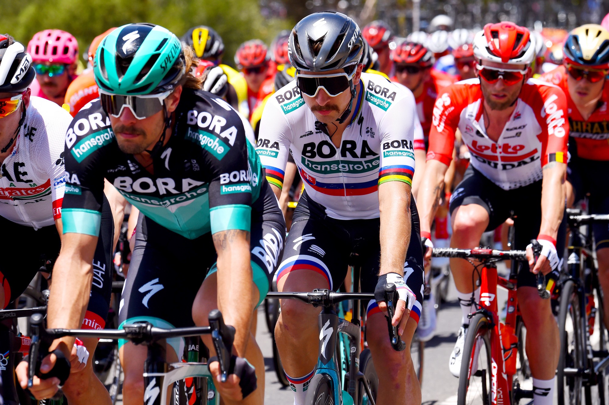 sagan 19 tdu na trati bohfb