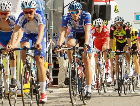 zverko-david-msr-2014-velky