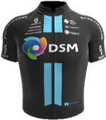 TEAM DSM tim