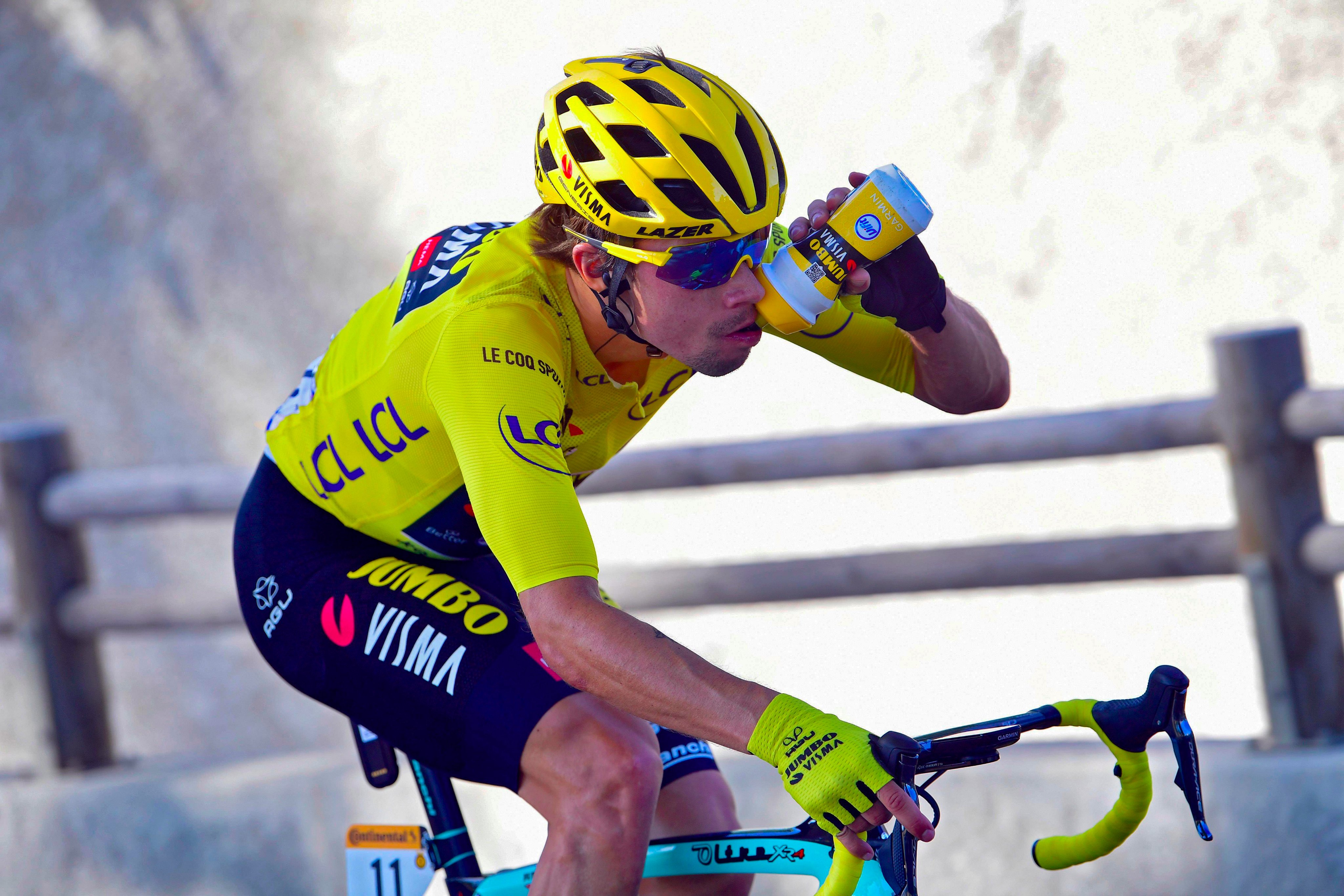 primoz roglic