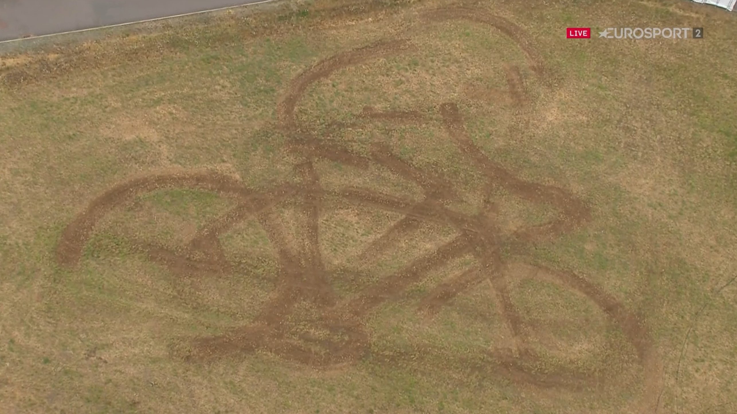 dauphine art