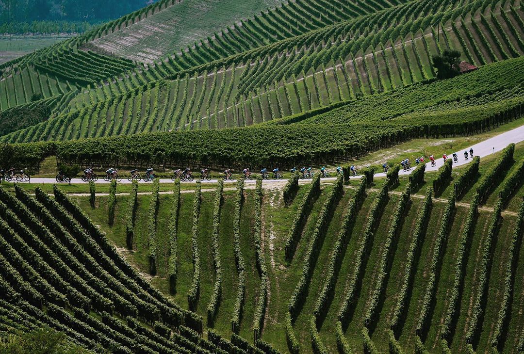 gran piemonte