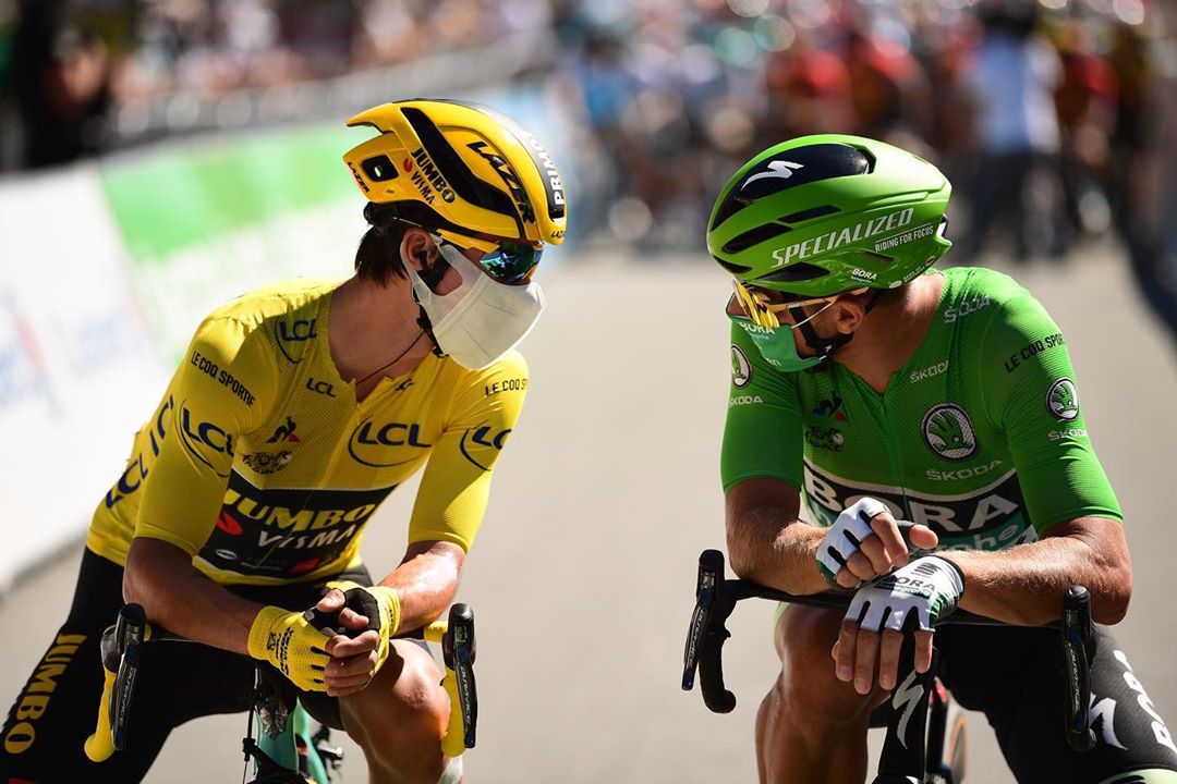 sagan roglic