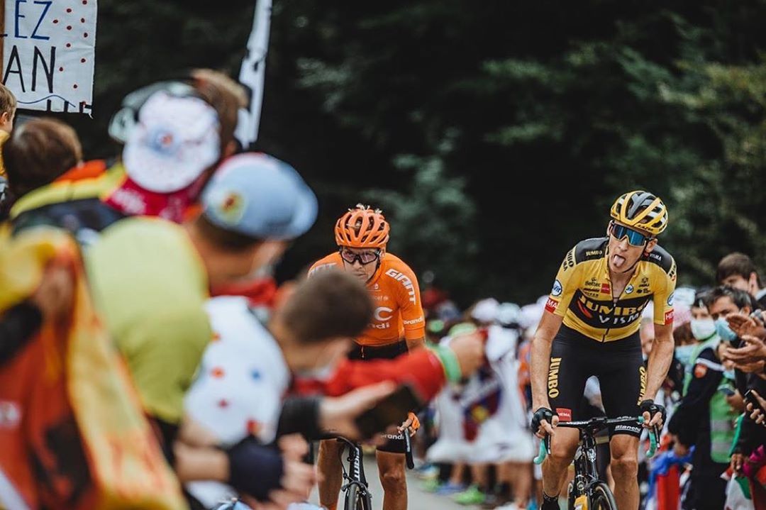 gesink