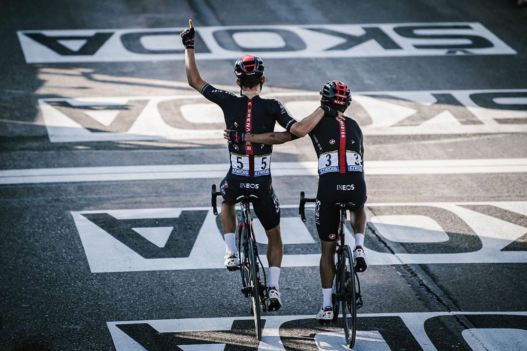kwiato carapaz 2