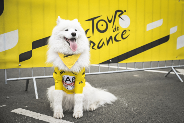 Ako Zoe ukradla časť slávy Adamovi (Tour objektívom fotoaparátu)