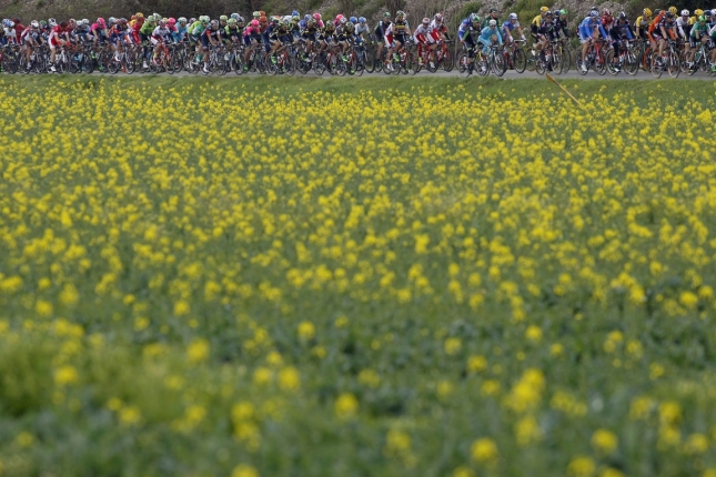Základné pravidlá Tour de France 2016